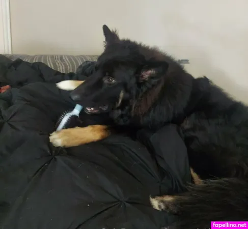 Bunnydathug Free OnlyFans Thumbnail #xMcdpFGR4t