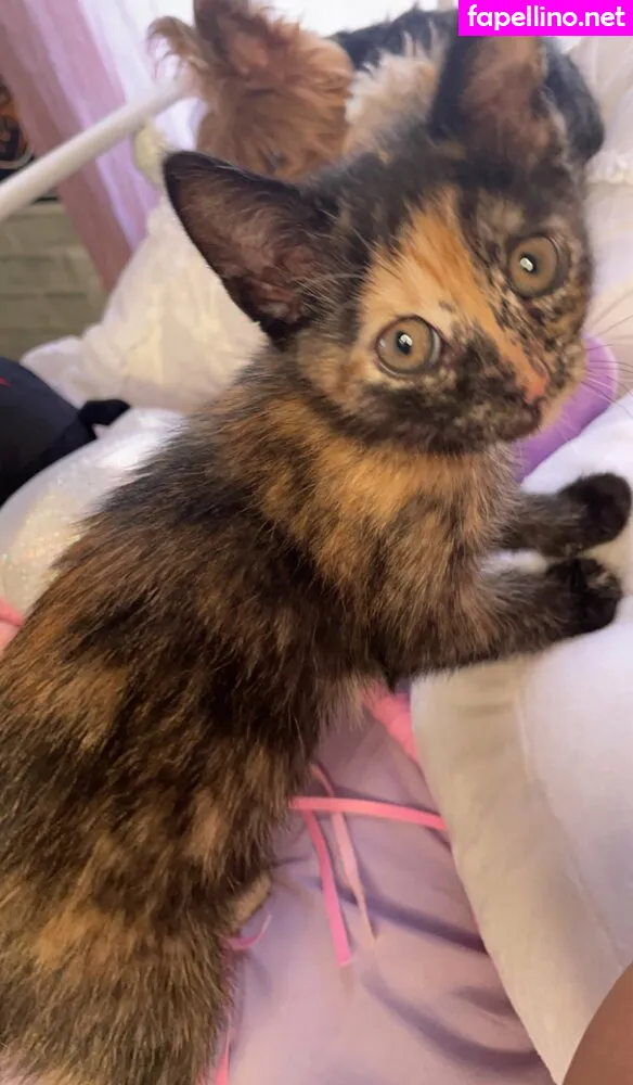 bunnyscake Nude Leaked OnlyFans Photo #3ACNruZxpu