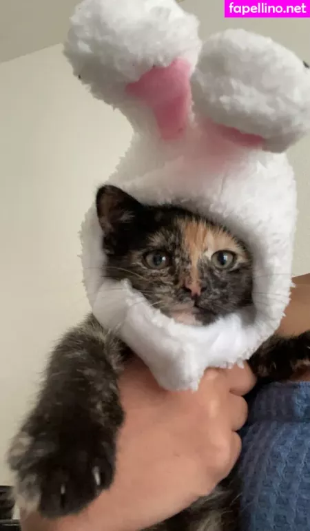 Bunnyscake OnlyFans Thumbnail #NzGKIpOobP