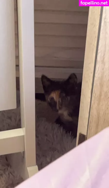 Bunnyscake OnlyFans Thumbnail #Xn5TEXzNoX