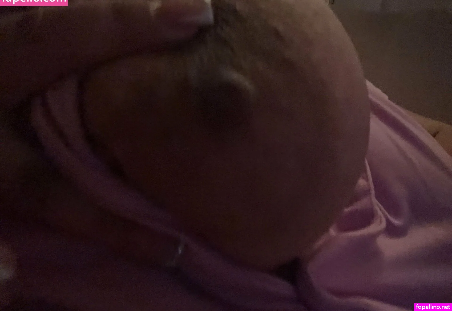 bustybabe44, bustybabesclub_ Nude Leaked OnlyFans Photo #yiP0qDuygw