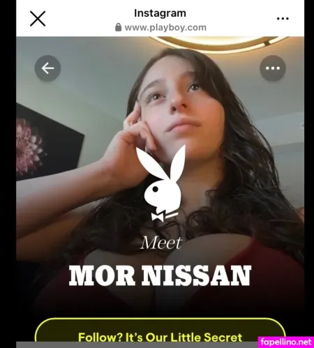 Bustymor N Main Profile Photo