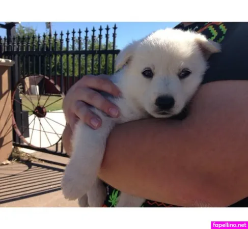 Bustyybriiix OnlyFans Thumbnail #L86h3bqPEw