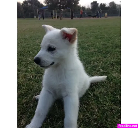 Bustyybriiix OnlyFans Thumbnail #Tn0tyDJPIx