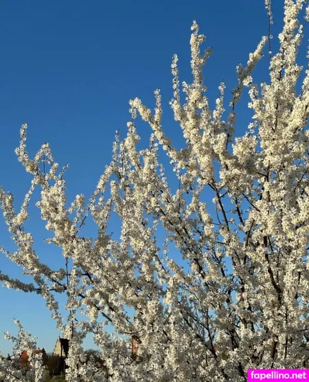 Byebblue Main Profile Photo