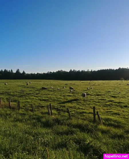 C Oraline Main Profile Photo