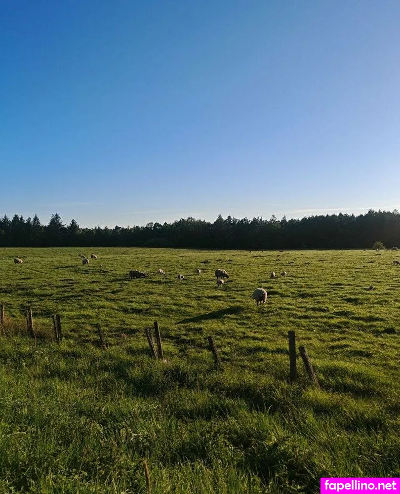 c_oraline, officiallcoraline Nude Leaked OnlyFans Photo #XLJzN2uniM