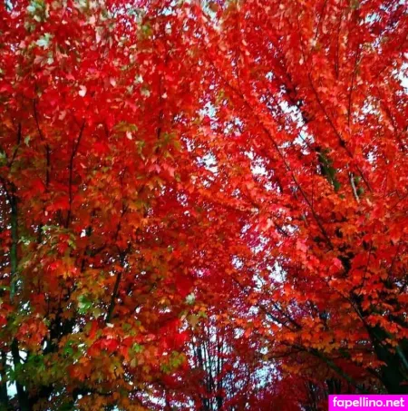 Cadence Caliber OnlyFans Thumbnail #zvi1RxxGbD