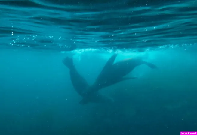 Cadesvip OnlyFans Thumbnail #f3LRPHHyJZ