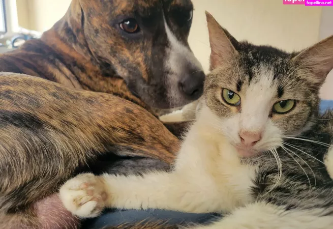 Cameo Crow OnlyFans Thumbnail #jpliPn0TYK