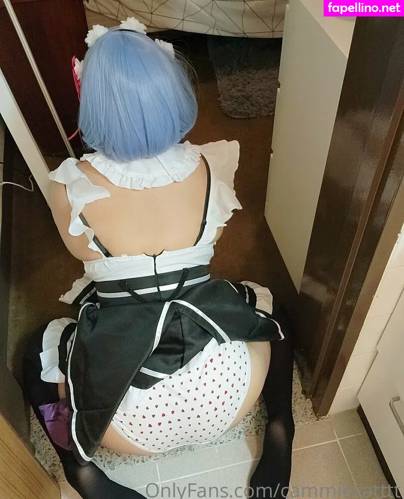 cammiecatmeow, cammiecatttt Nude Leaked OnlyFans Photo #AXVLOOMVpQ