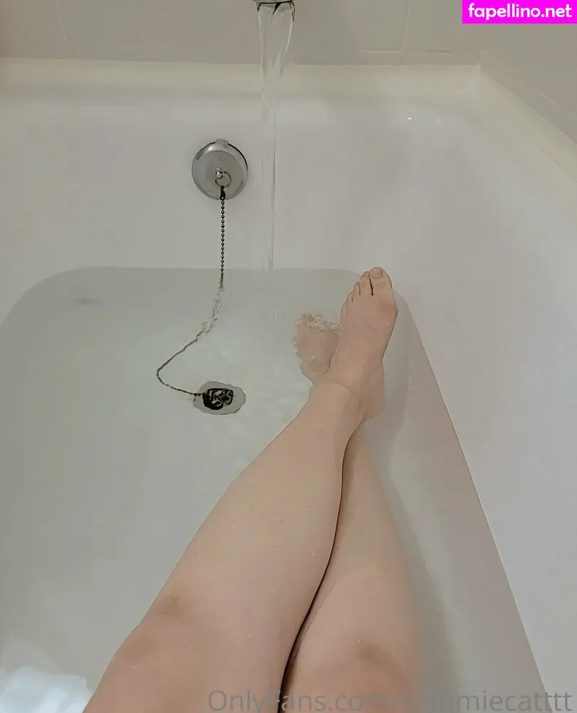 cammiecatmeow, cammiecatttt Nude Leaked OnlyFans Photo #pn0qsP4Zym