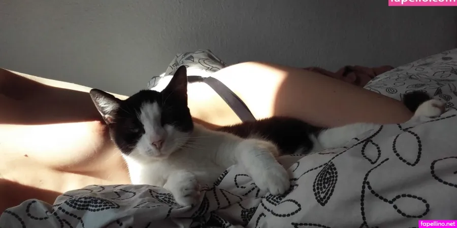 Candy Flip OnlyFans Thumbnail #HDbLUCEpZI