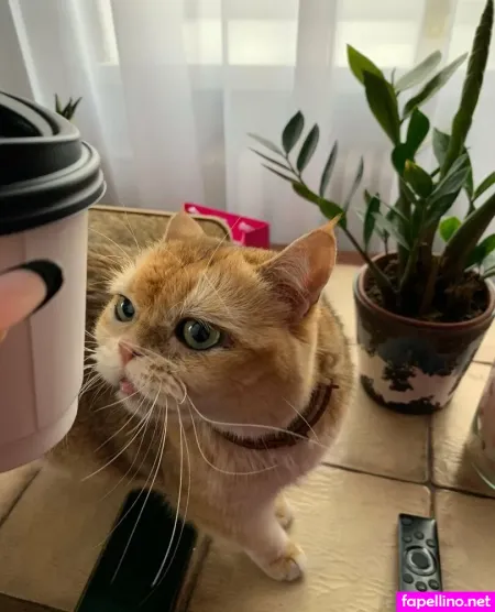 Candy Yara OnlyFans Thumbnail #iv6iN9mS0E