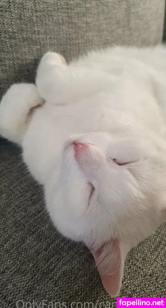 candyabuse Nude Leaked OnlyFans Photo #8JTk6dH2Fk