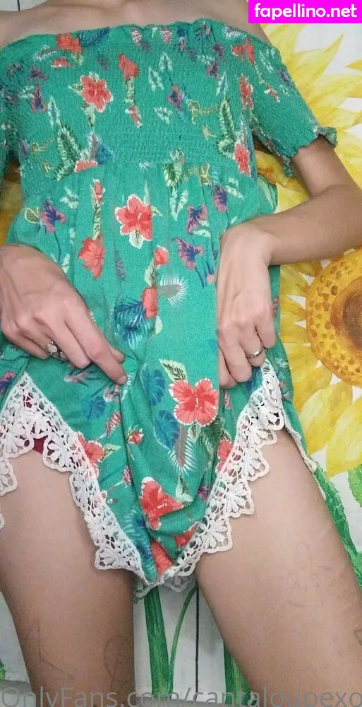 cantaloupe.inc, cantaloupexo Nude Leaked OnlyFans Photo #xm7vifzSwb