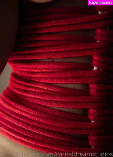 Carnaldreamstudios OnlyFans Thumbnail #Ps8PdjMDMK