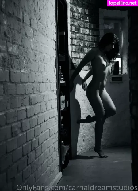 Carnaldreamstudios OnlyFans Thumbnail #ermACKqZrz