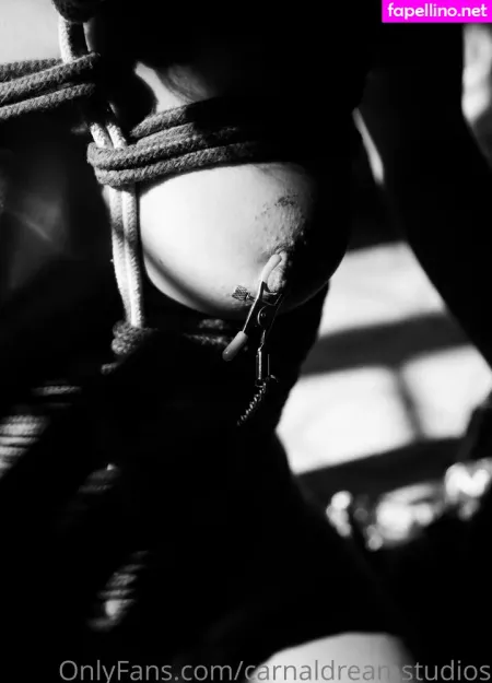 Carnaldreamstudios OnlyFans Thumbnail #l7WbxeiUjw