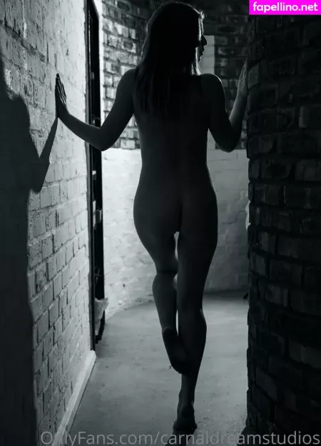 Carnaldreamstudios OnlyFans Thumbnail #n77Sm3XjEm