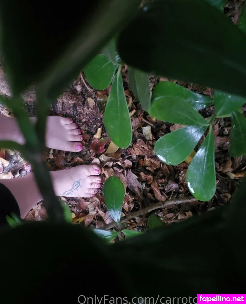 carrotcaketoots, christinacarrotcakes Nude Leaked OnlyFans Photo #HM28iTvvRJ