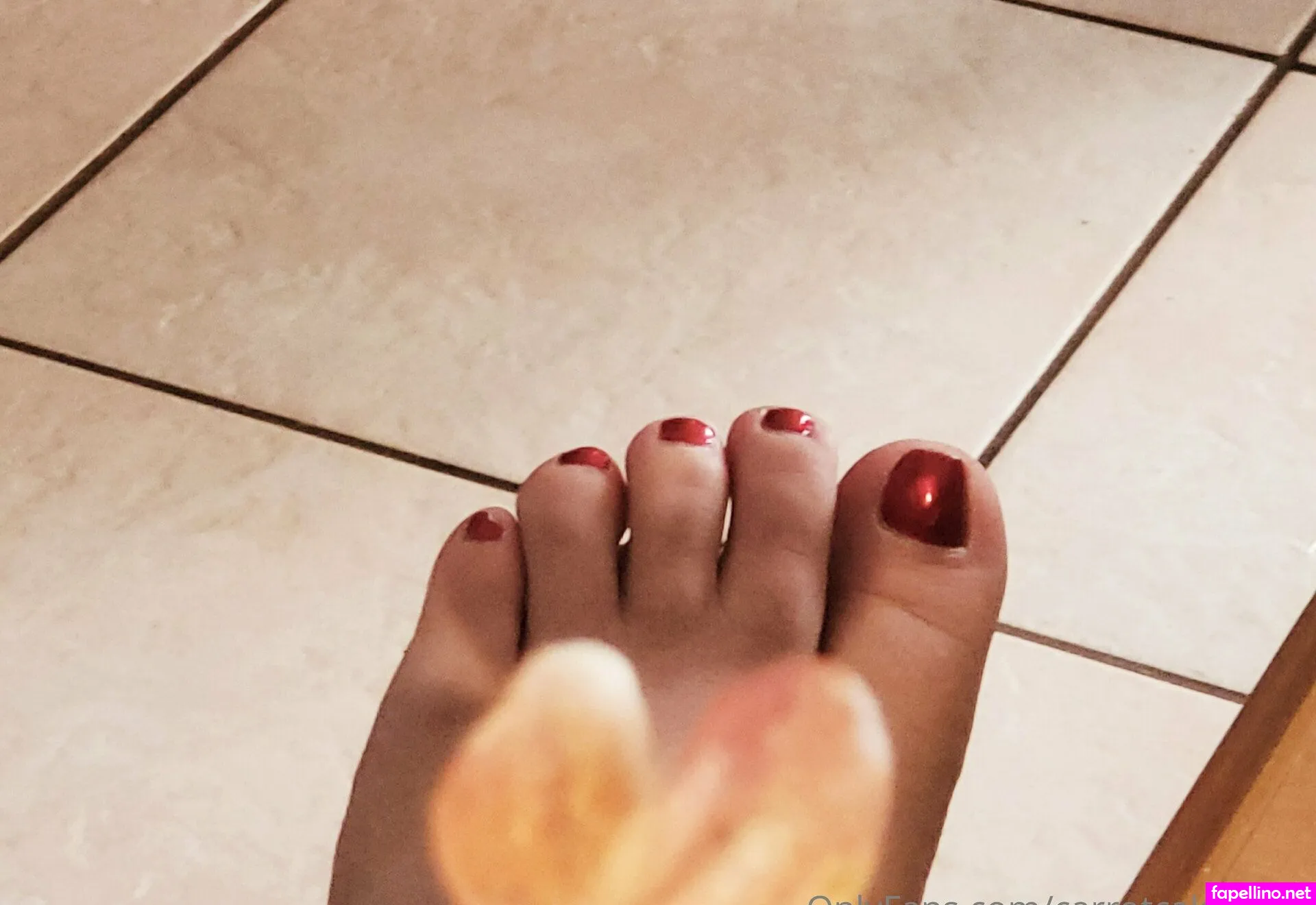 carrotcaketoots, christinacarrotcakes Nude Leaked OnlyFans Photo #UrJBA8EW1A