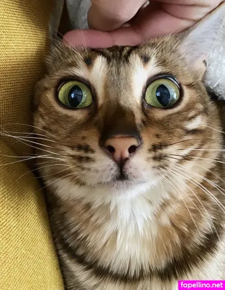 Cartercruise OnlyFans Thumbnail #BIVRouVAzD