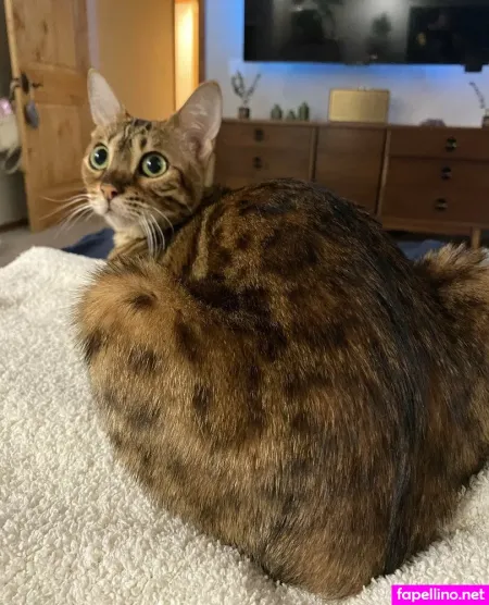 Cartercruise OnlyFans Thumbnail #Z5QL2hNCdO