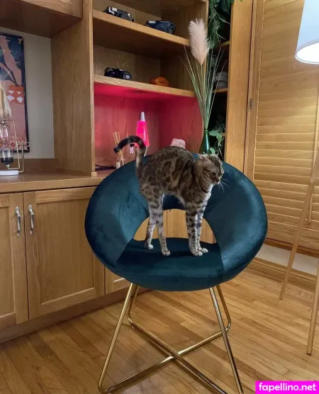 Cartercruise OnlyFans Thumbnail #adoG6nv6XZ