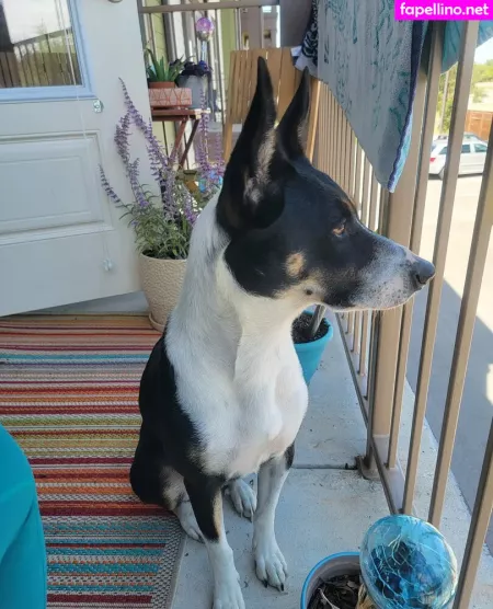 Cassievalentine96 OnlyFans Thumbnail #SJrQvSU77e