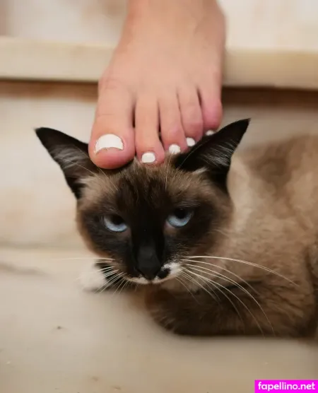 Catarinaserranofree OnlyFans Thumbnail #OYG2ECj18Q