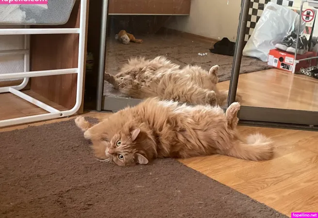 Catekate OnlyFans Thumbnail #G0RtoKDrYs