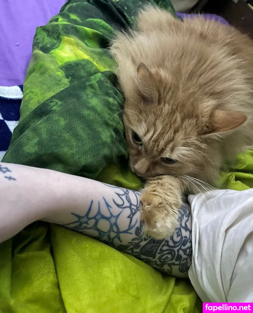 CateKate, catekate7 Nude Leaked OnlyFans Photo #H90RP2ji36