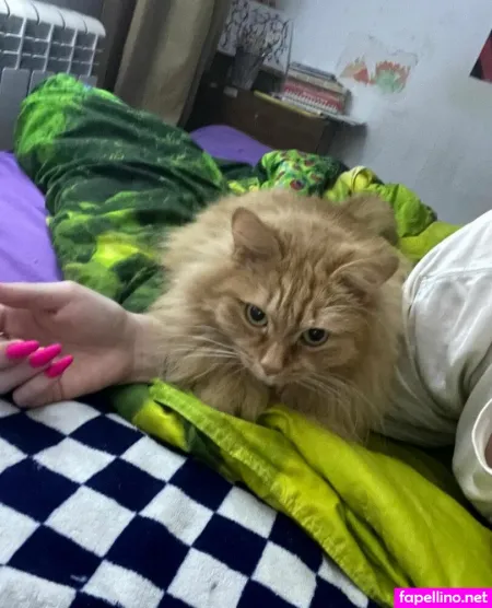 Catekate OnlyFans Thumbnail #m0Gy3cGUPL