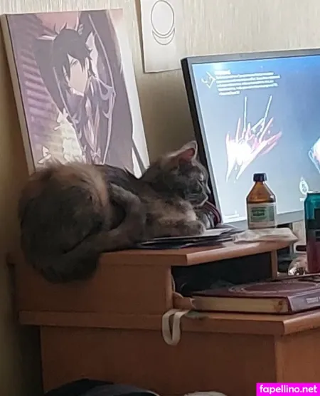 Catinhat7 OnlyFans Thumbnail #wCmEYcpEYT