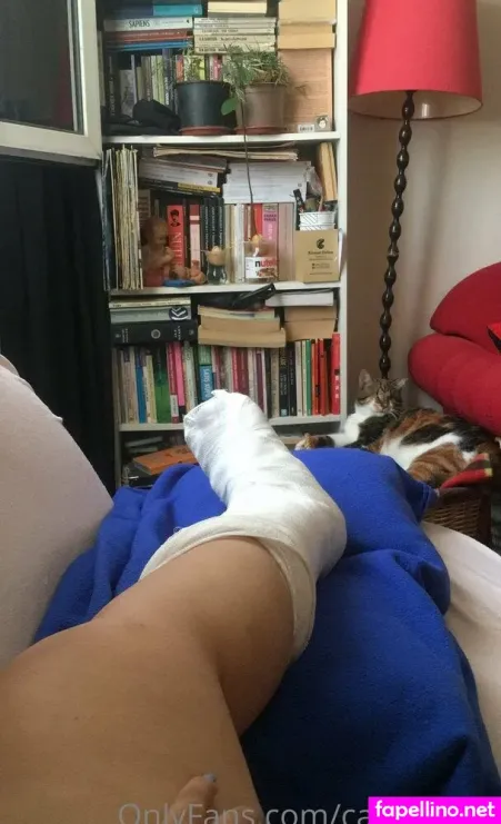 Catloverrrr OnlyFans Thumbnail #mNqh2iDOQv