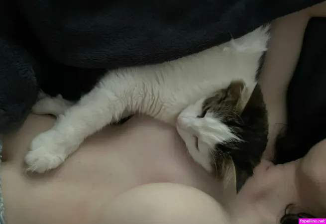 Catsidhexo OnlyFans Thumbnail #MicL9jvUyi