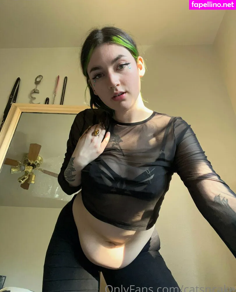 catsncake, catsncakes Nude Leaked OnlyFans Photo #MANon4TWcB