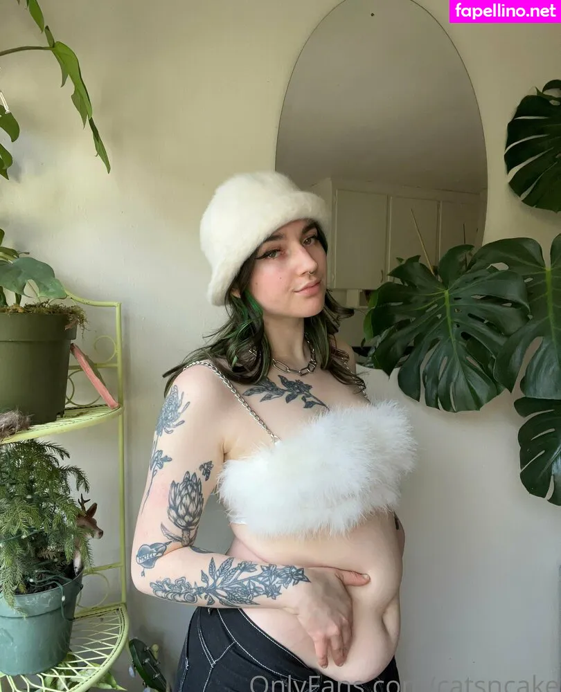 catsncake, catsncakes Nude Leaked OnlyFans Photo #liS2Pu1H2B