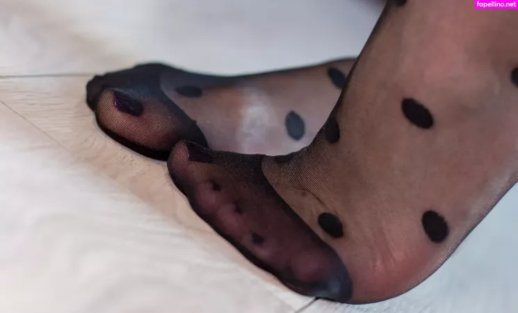 Cavalierifeetfree OnlyFans Thumbnail #kYby7eiv5N