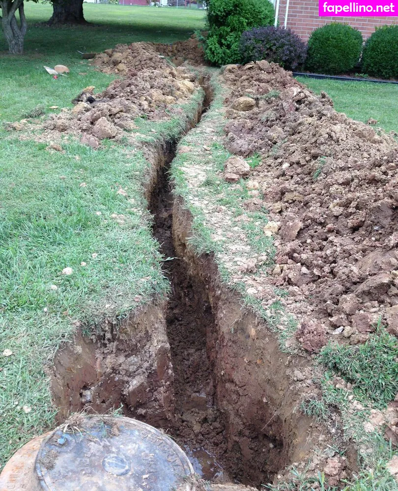 cbadonis Nude Leaked OnlyFans Photo #JZnYst5J5R