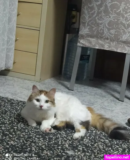 Cbiki OnlyFans Thumbnail #NYX3qivvsh