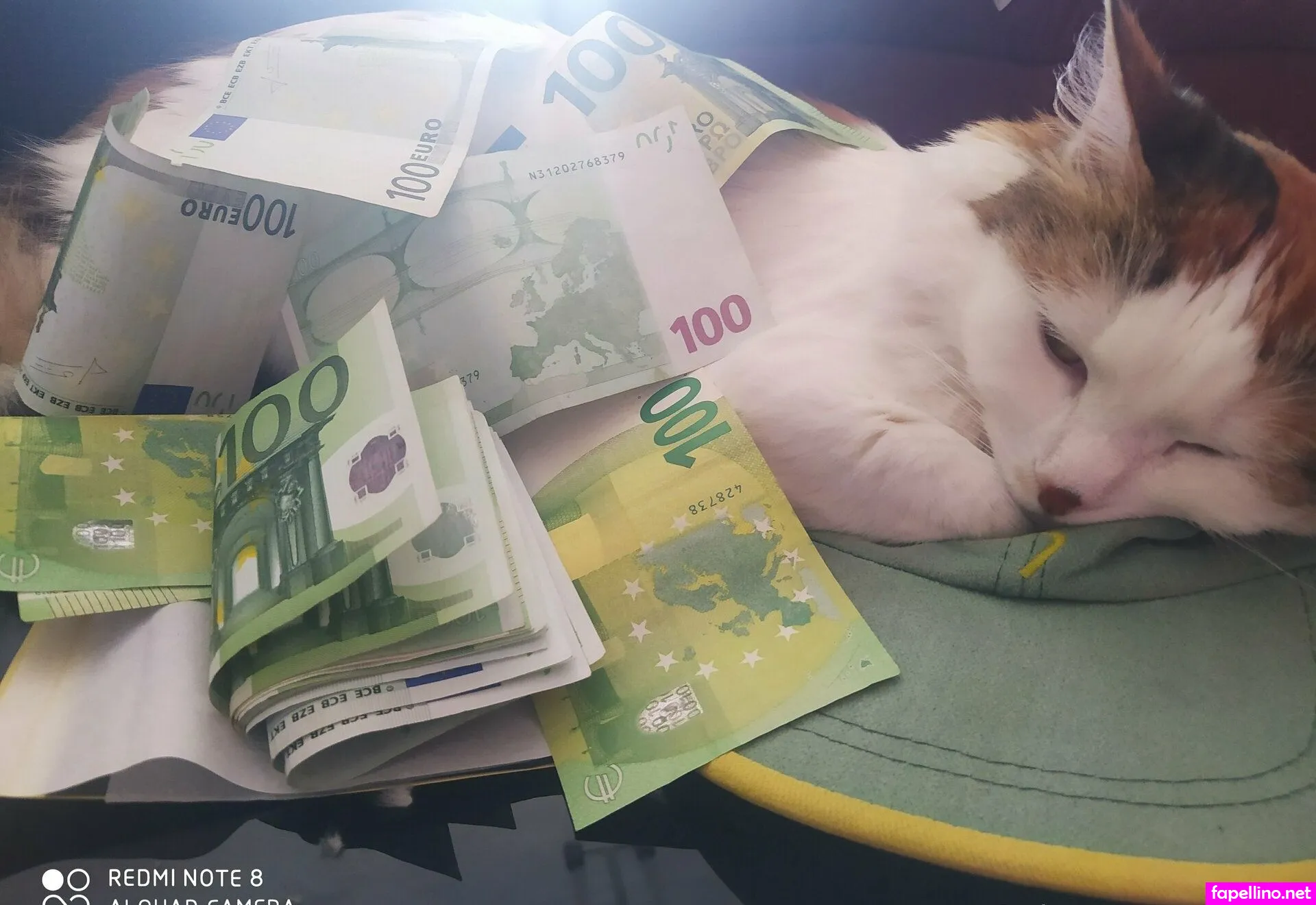 cbiki Nude Leaked OnlyFans Photo #YbMrLT8fBb