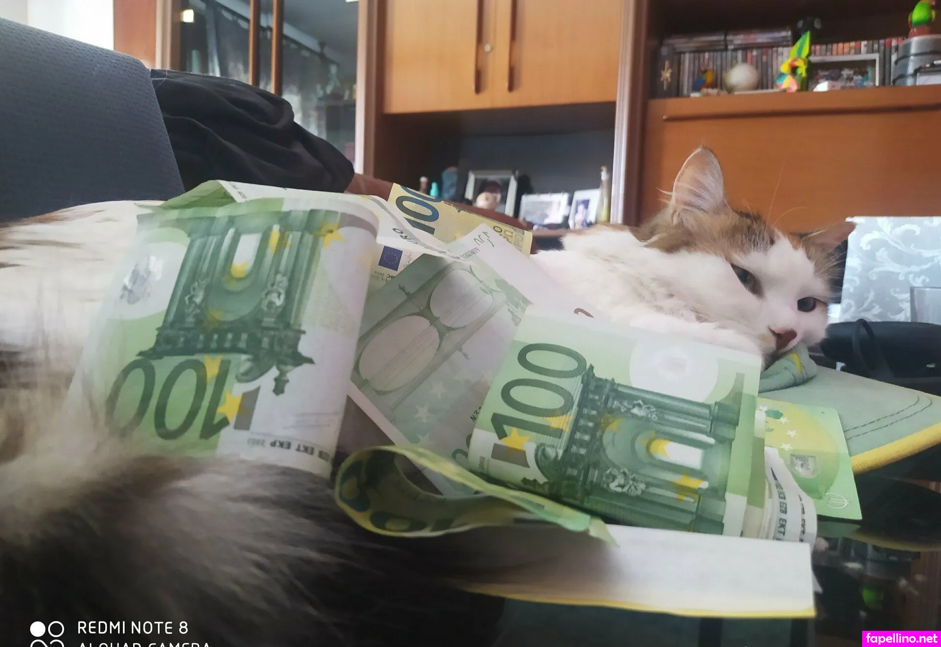 cbiki Nude Leaked OnlyFans Photo #fIzt5mDWbP