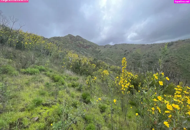 Ccflightfree OnlyFans Thumbnail #aCugIW6WNF