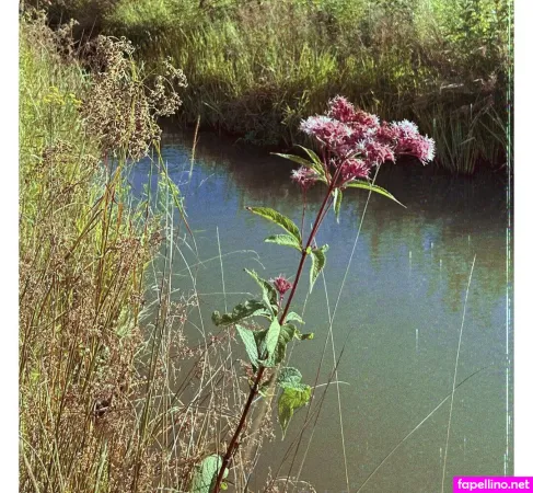 Cedella01 OnlyFans Thumbnail #c4M6SJ8hv7