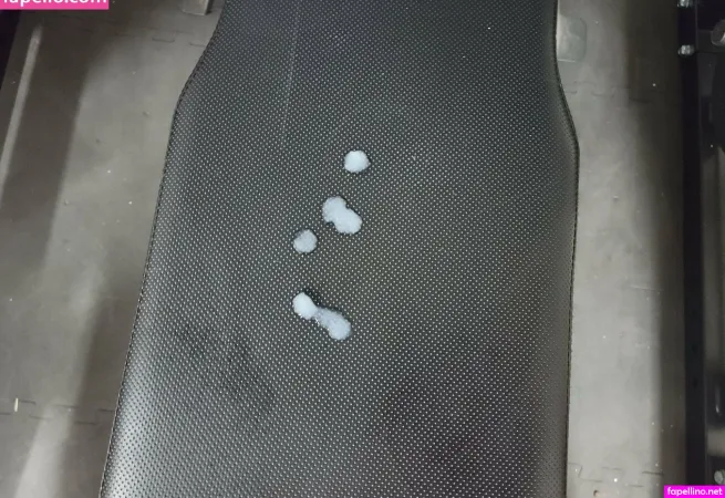 Celtic Bear OnlyFans Thumbnail #X196A2zDAv