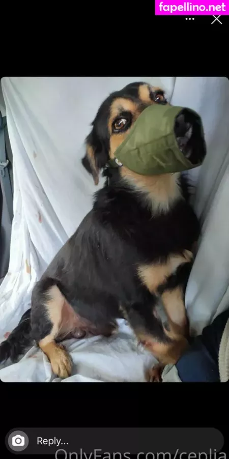 Ceplia OnlyFans Thumbnail #IEt3VSMpWP