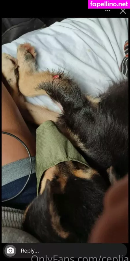 Ceplia OnlyFans Thumbnail #YkA75ORXXG