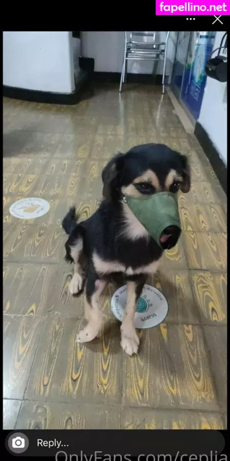 Ceplia OnlyFans Thumbnail #h3kAIXXwh2